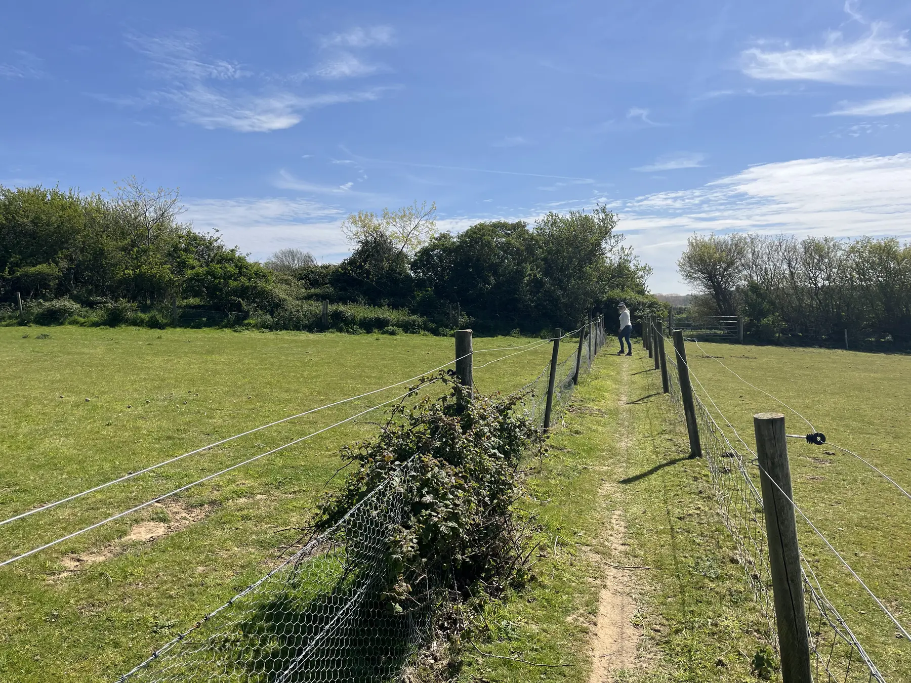 A country footpath running between green fields on the Isle of Wight